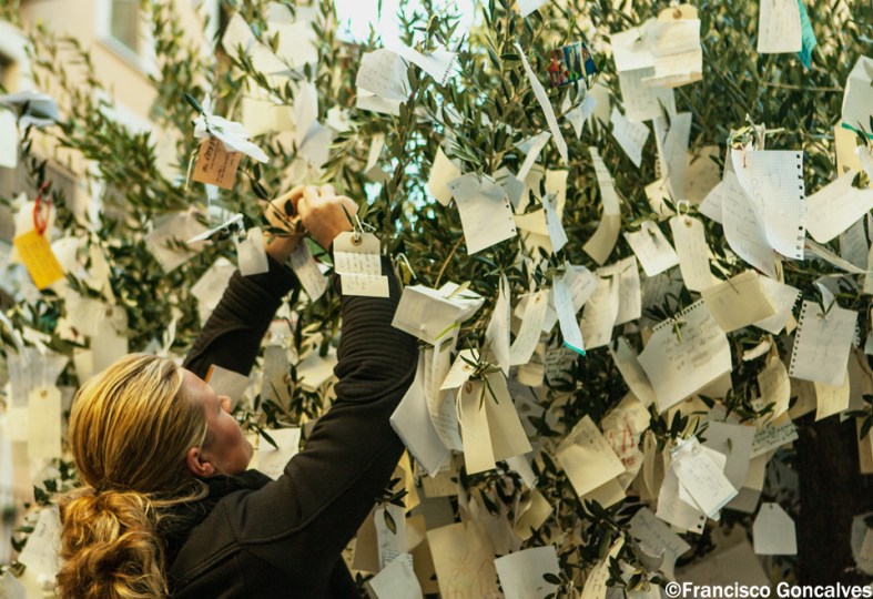 El Olivo de los Deseos / The Olive Tree of the Wishes