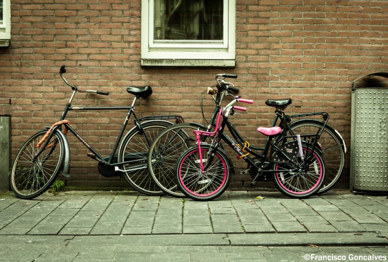 Bicis4