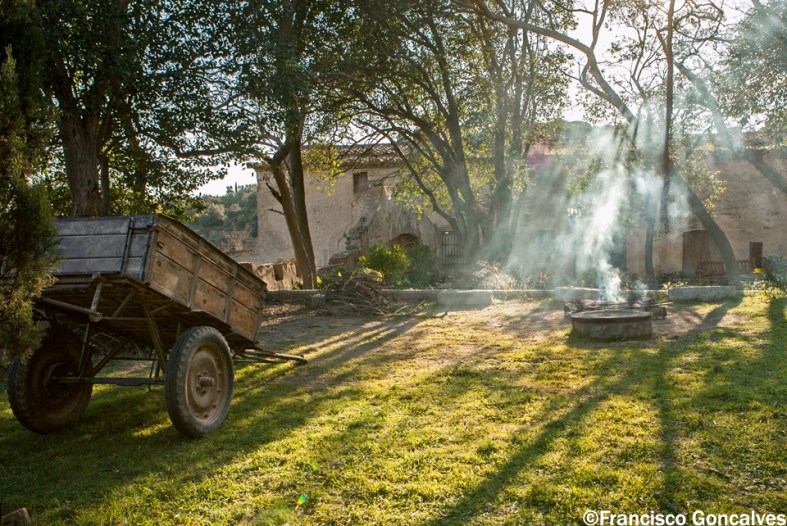 Hora de partir / Time to leave