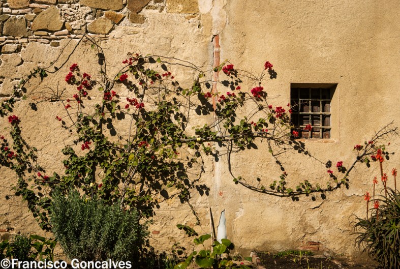 Los jardines del monasterio / The monastery gardens