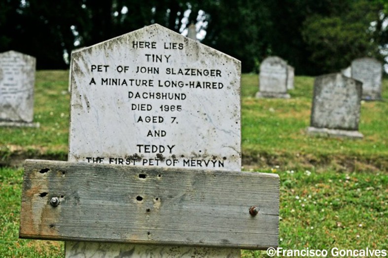 Cementerio de Mascotas de Powerscourt - Irlanda / Powerscourt Pet Cemetery - Ireland