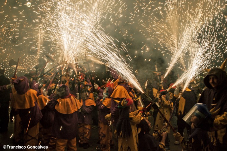 Este año no los retraté tanto como hubiera querido.