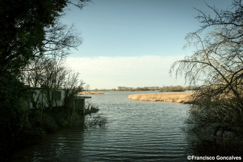 Se respira pura tranquilidad.