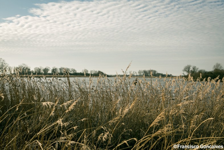 Se formaron unas nubes increíbles.