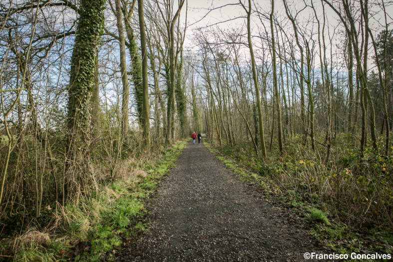 En Blankaart hay rutas señalizadas.