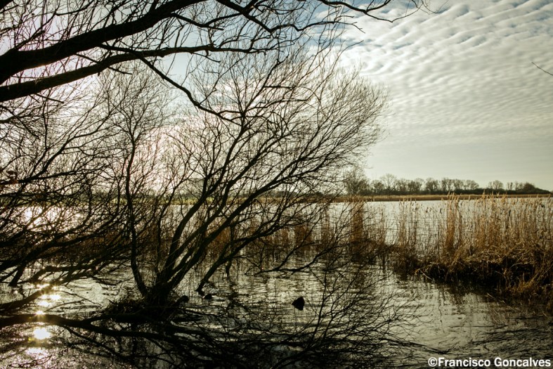 Las lluvias crean paisajes como estos.