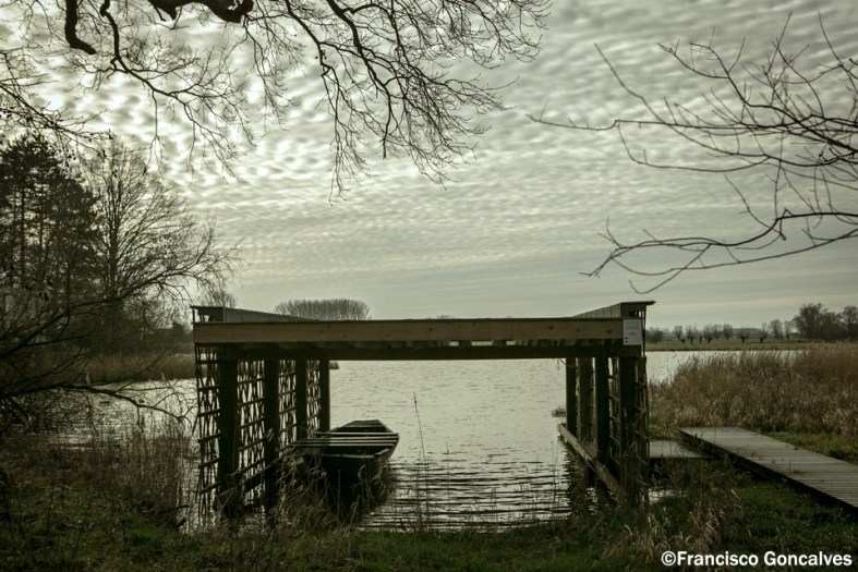 Pasear en barca por la zona debe ser bestial.