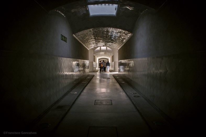 Los túneles subterráneos... como de película de terror.