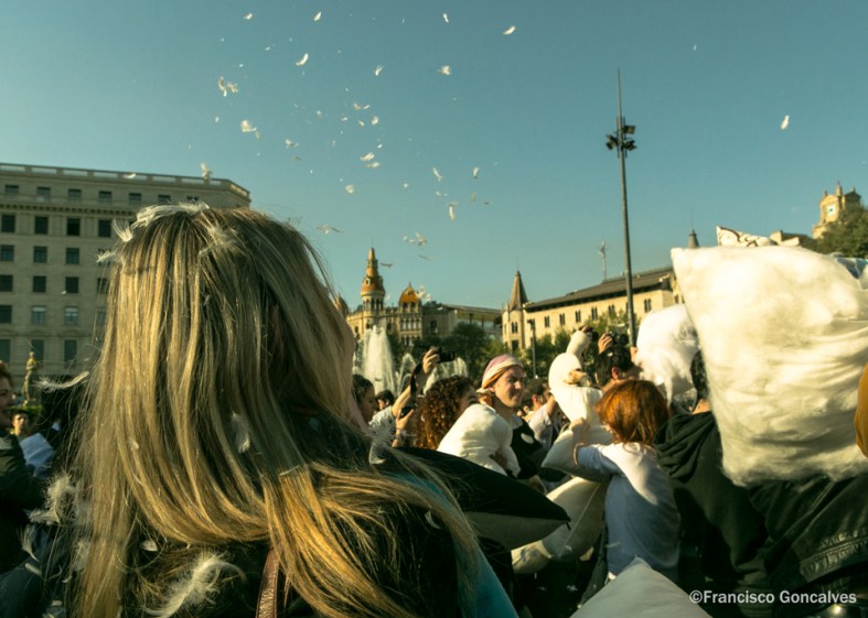 Feathers, feathers everywhere