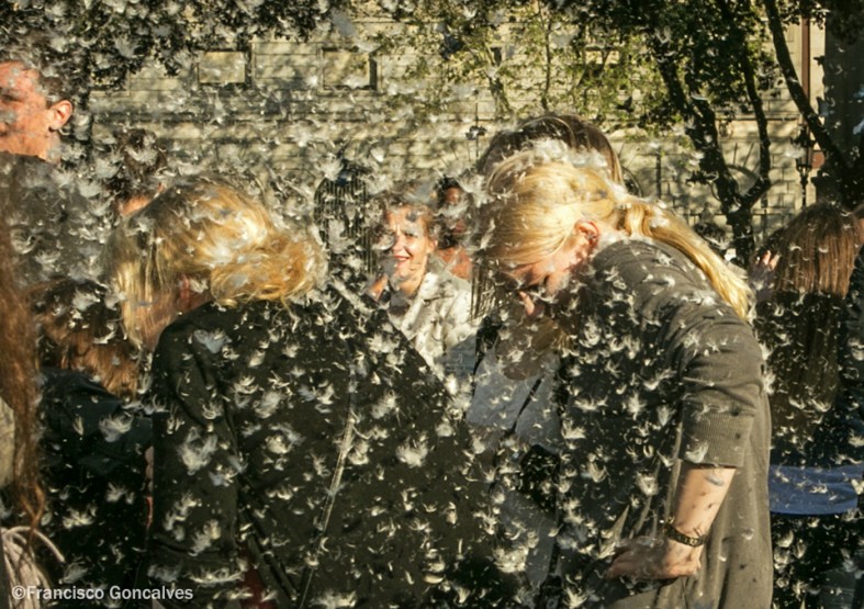 Lluvia de plumas!