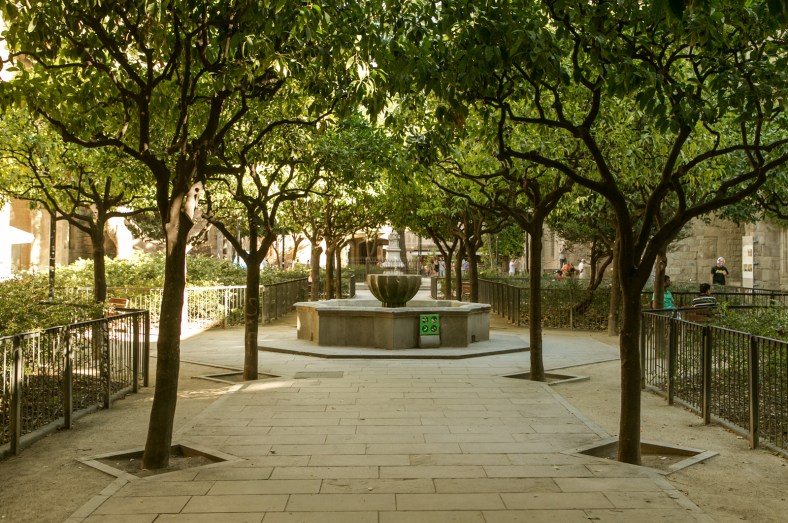 Jardines del antiguo hospital de la Santa Creu