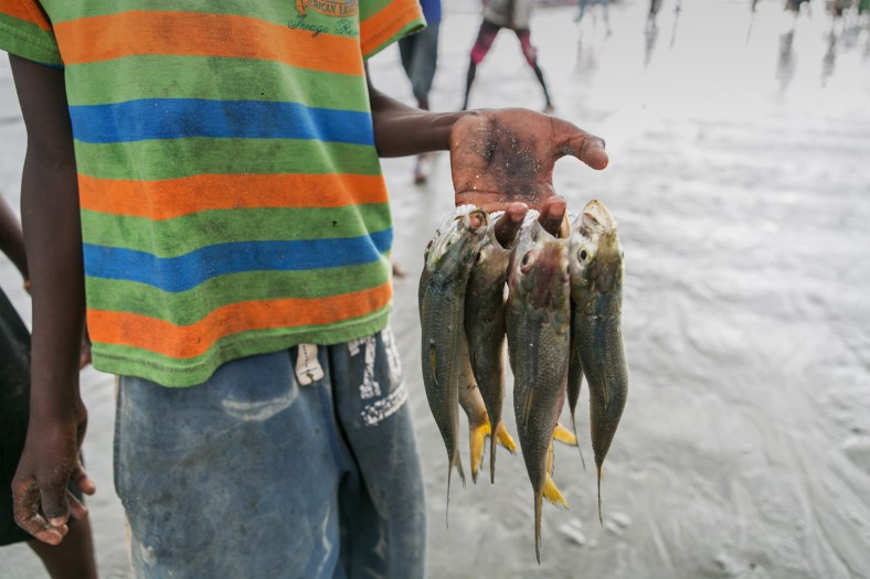 Un pescado en cada dedo