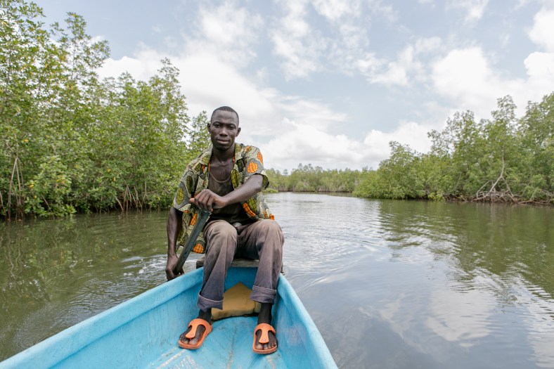 Remando en los manglares