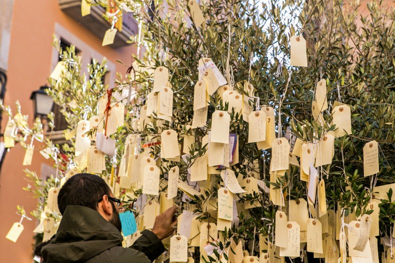 El Olivo de los Deseos