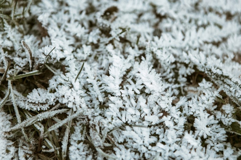 No nevó, pero hacía frío!