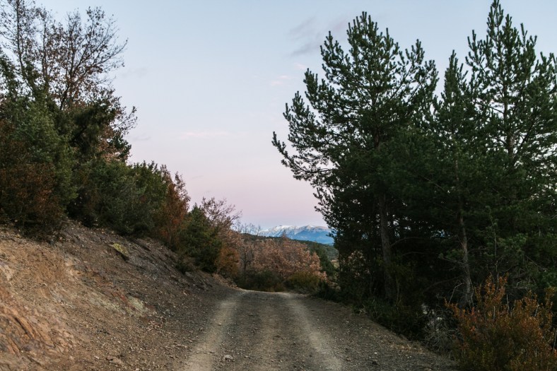 Camino con las montañas nevadas al fondo