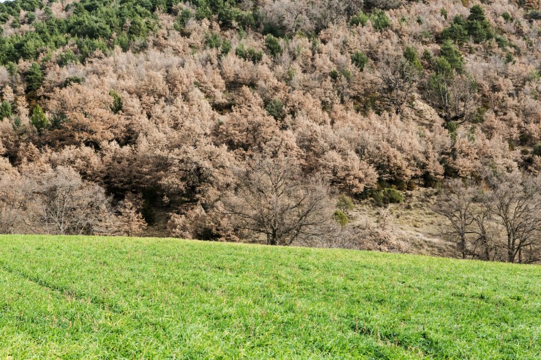 Los colores de la montaña