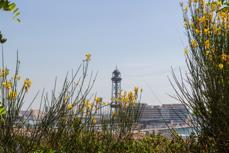 El puerto tras las flores