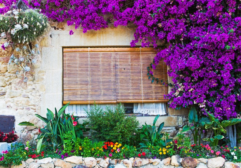 Una ventana colorida