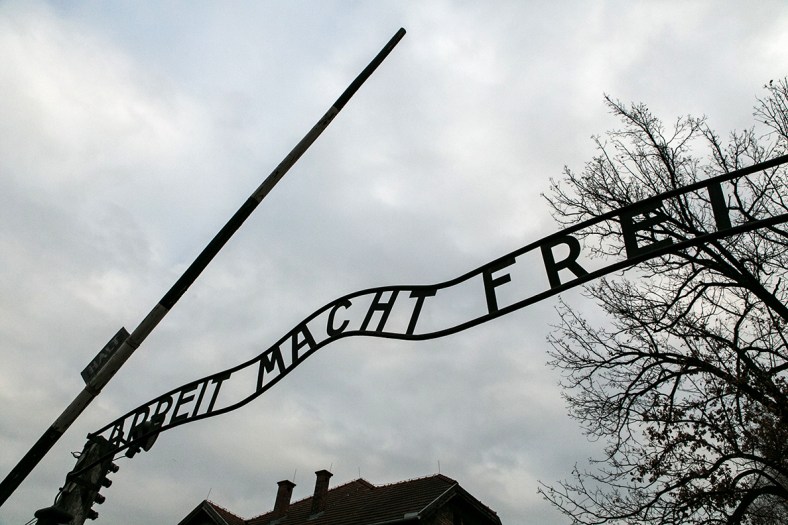 El trabajo hace libre